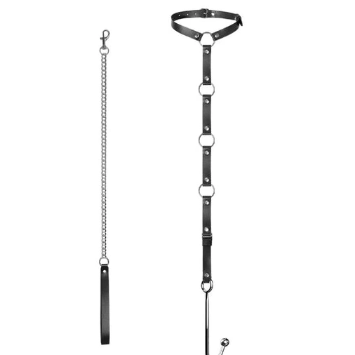 Collar Kinky Anal Hook with 5853 and EverydayUse Leash 0314